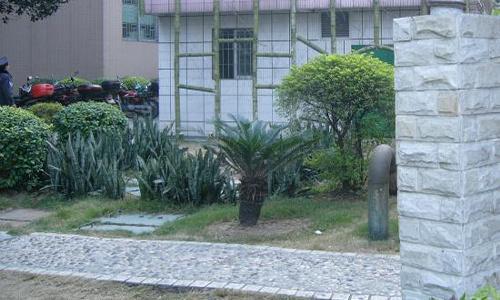 中山医科大学肿瘤医院污水处理工程