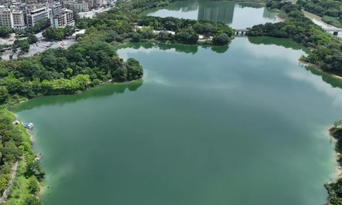 花都湖生态修复工程
