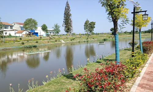 北流市罗江流域水污染治理与水生态修复项目