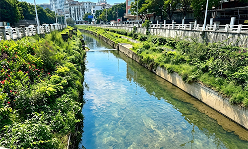 白云重点流域河湖水生态改善项目